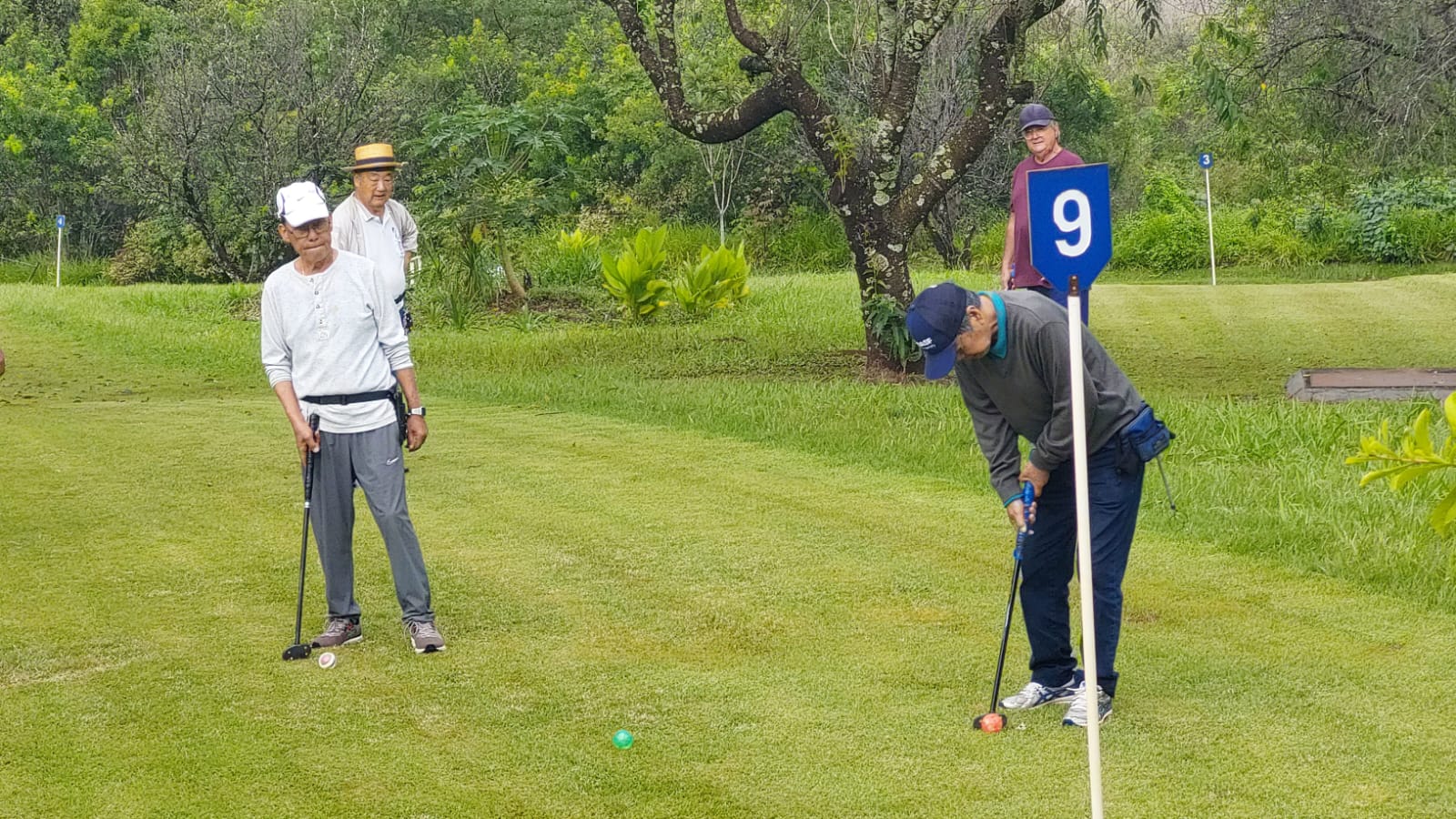 Park Golf masculino